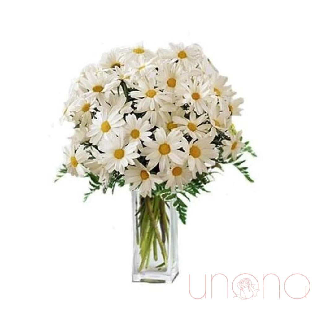 33 Daisies Bouquet | Ukraine Gift Delivery.