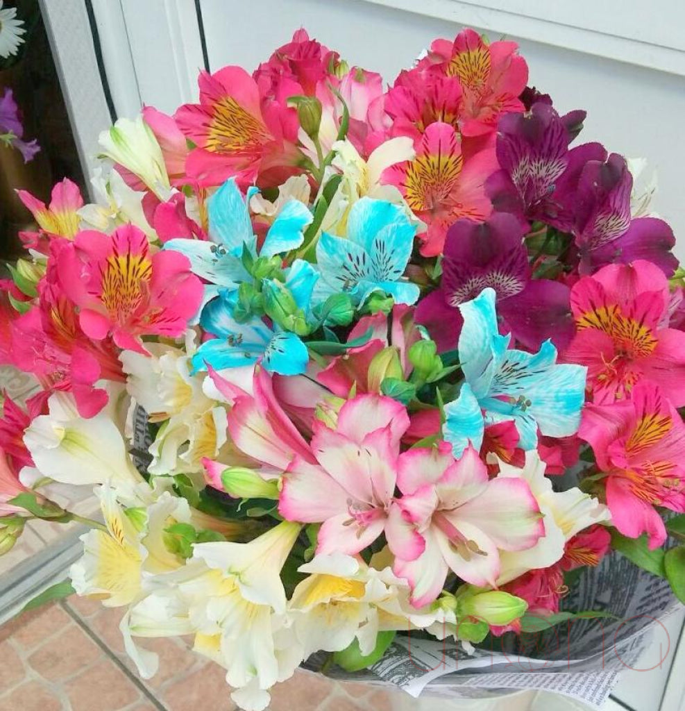 Alstroemerias Bouquet | Ukraine Gift Delivery.