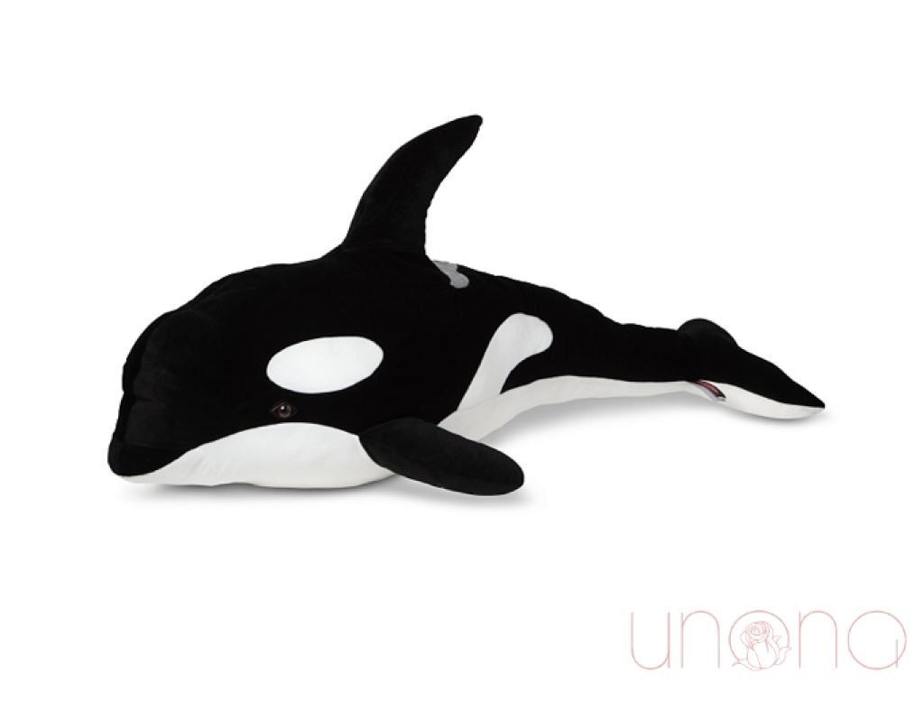 Black & White Orca By Holidays