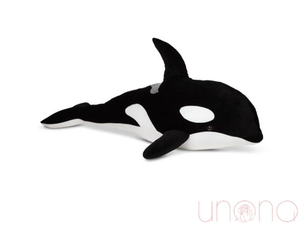 Black & White Orca By Holidays