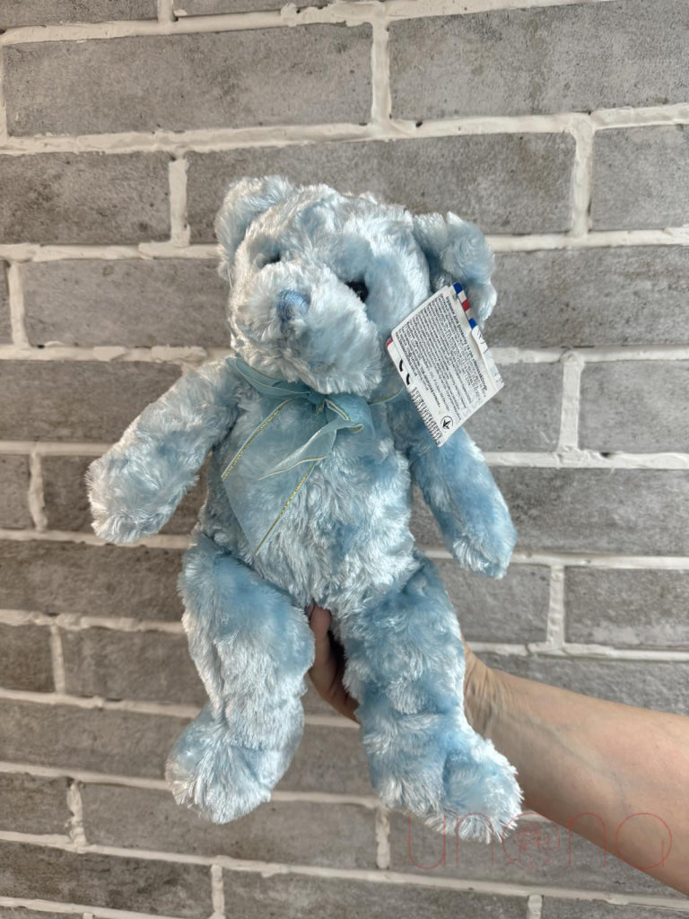 Blueberry Teddy Bear By Holidays