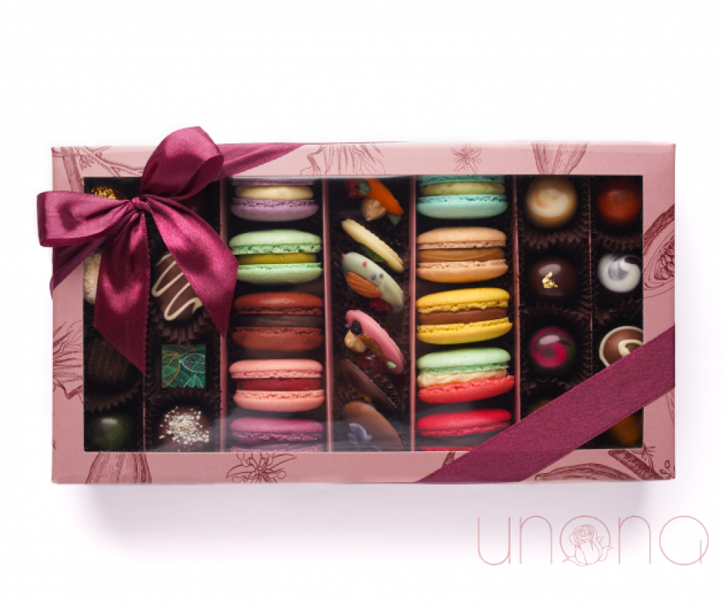 Chocolate Dream Collection By Holidays