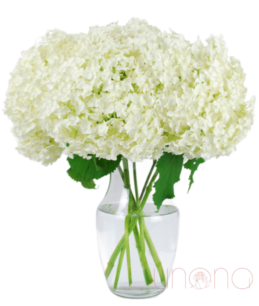 Hydrangea arrangement for delivery in Ukraine