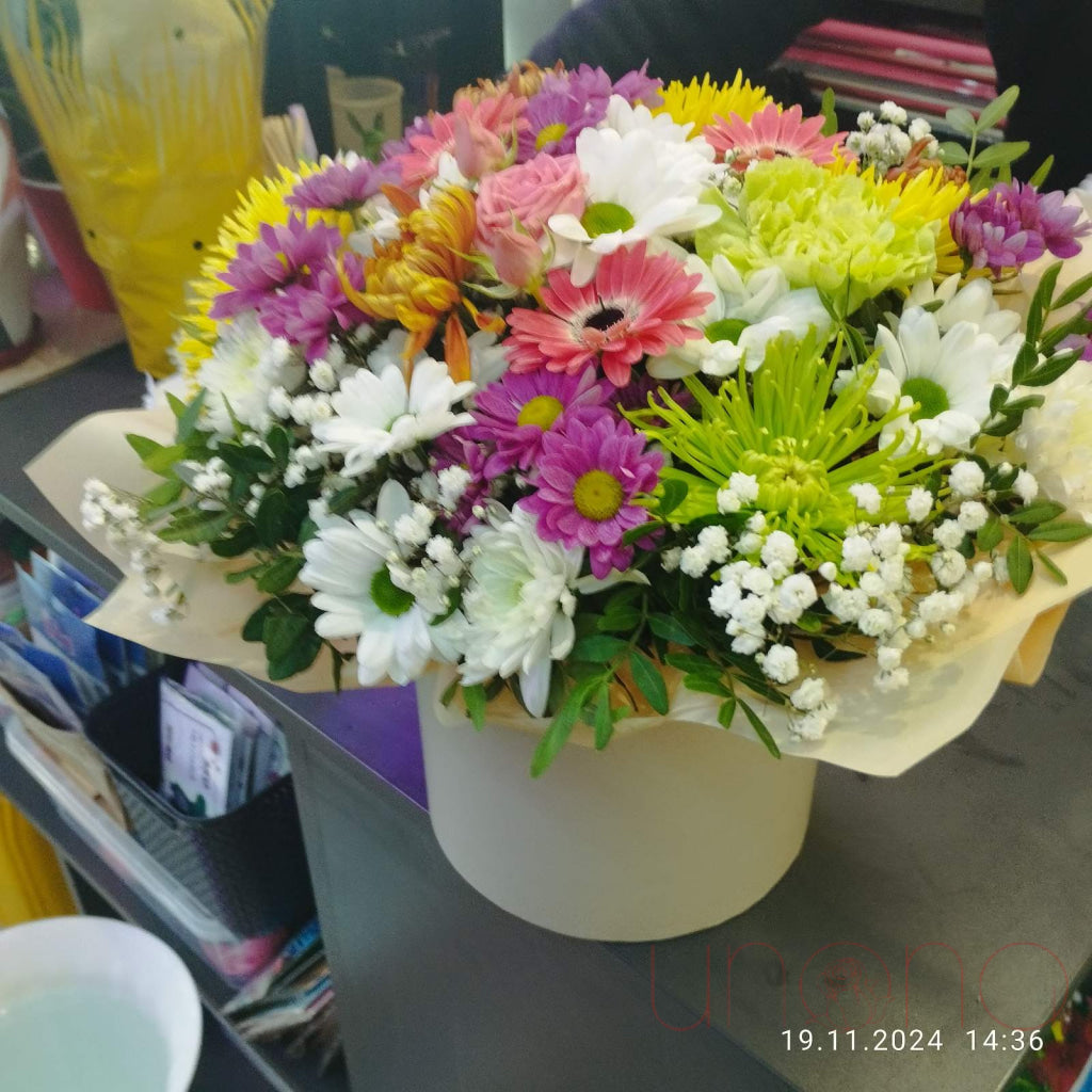 Daisy Miracle Arrangement Flowers