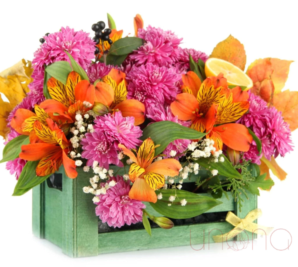 Daydreaming Arrangement | Ukraine Gift Delivery.