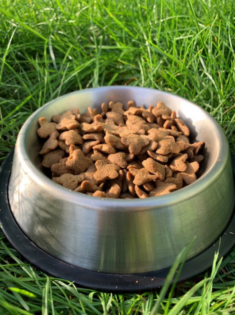 Dog Food 10 Kg