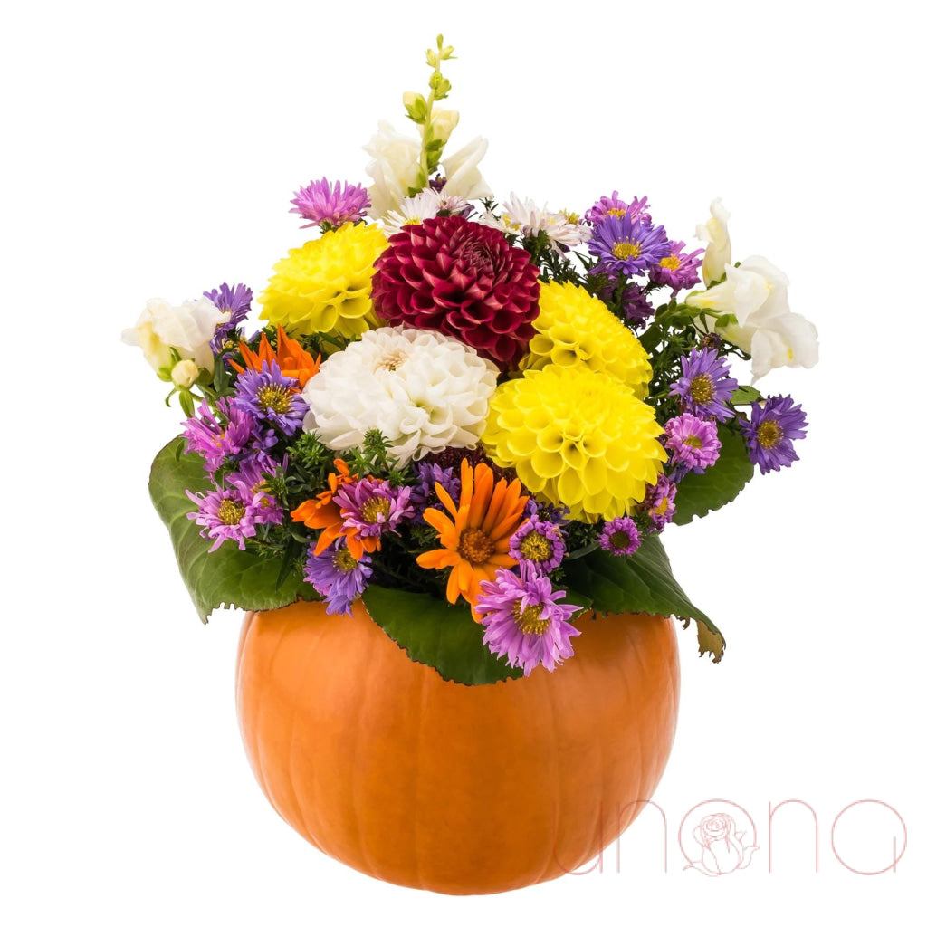 Fall Pumpkin Celebration | Ukraine Gift Delivery.