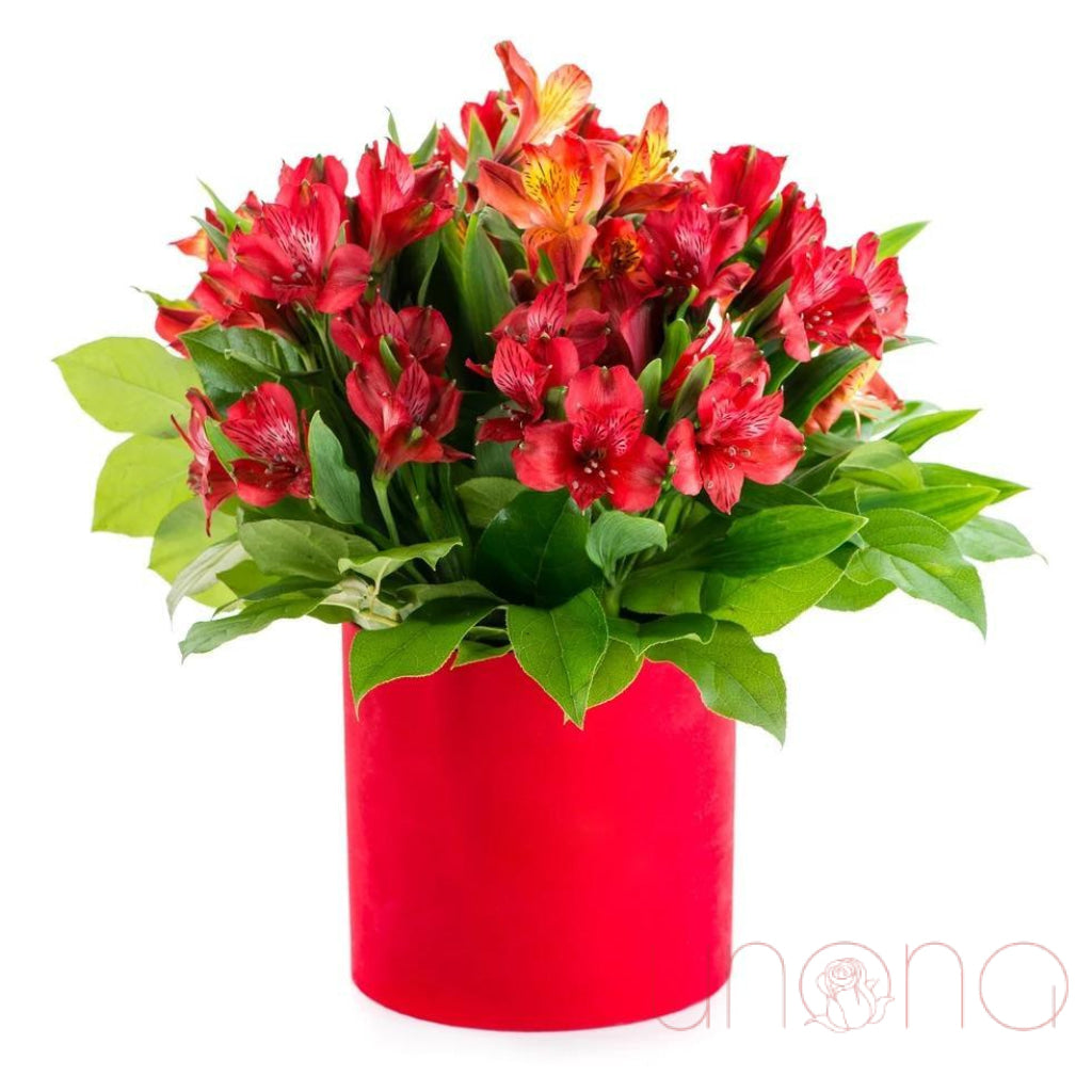 Fancy Alstroemerias Gift Box | Ukraine Gift Delivery.