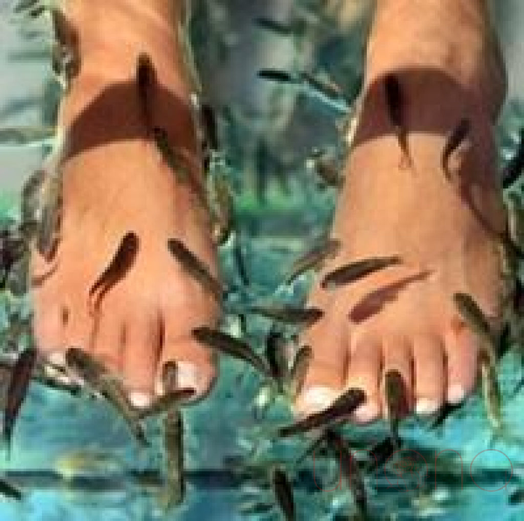 Fish Pedicure Gift Certificate | Ukraine Gift Delivery.