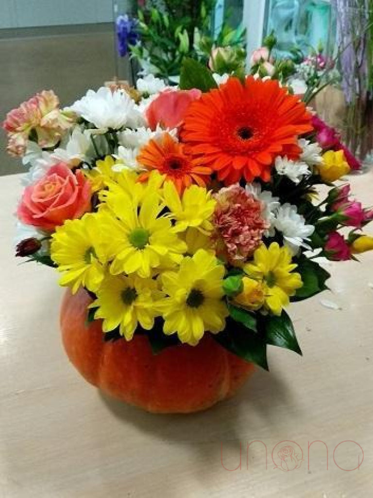 Golden Autumn Pumpkin Patch | Ukraine Gift Delivery.