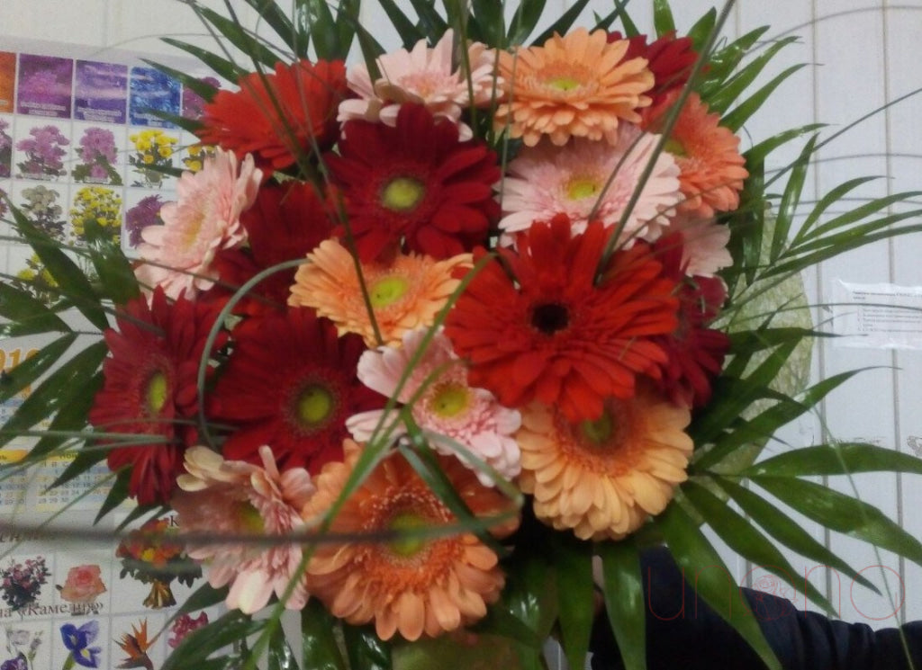 Happy Moment Gerberas Bouquet | Ukraine Gift Delivery.