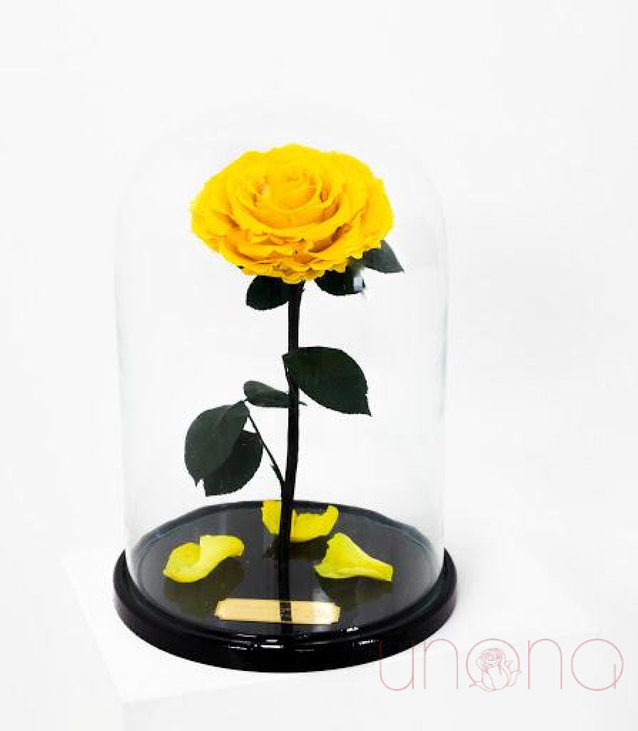 Long-Lasting Rose in a Flask | Ukraine Gift Delivery.