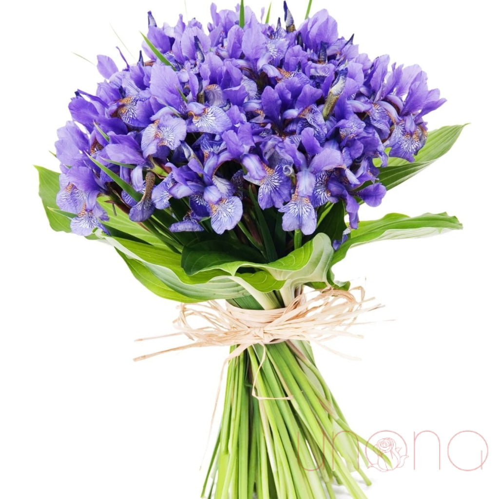 Lovely Blue Bouquet | Ukraine Gift Delivery.