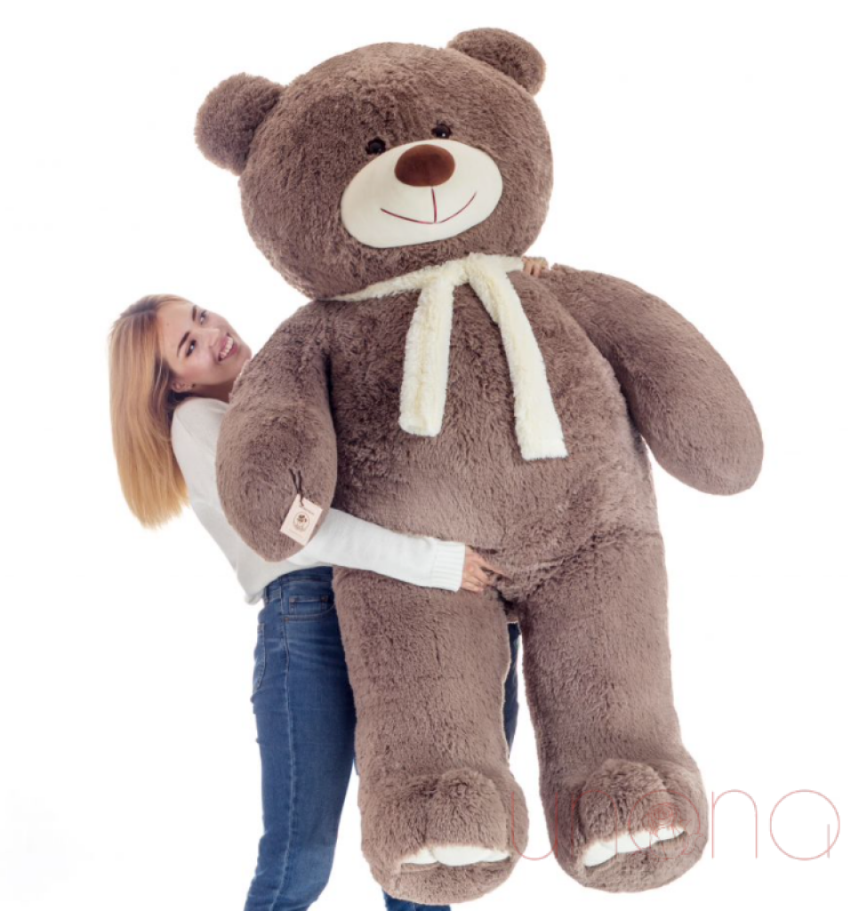 Mr Bear Cappuccino 200 Cm By Occasion