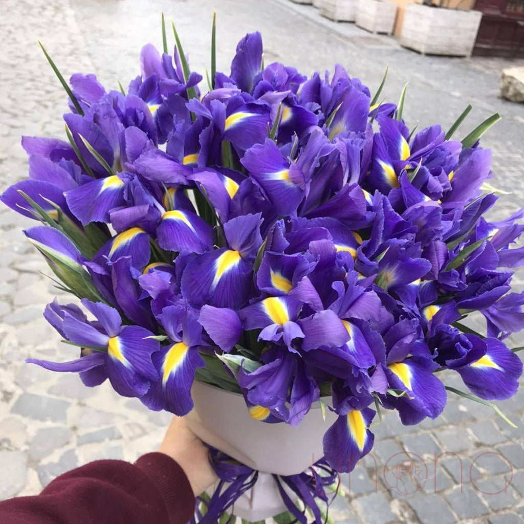 Passionate Irises | Ukraine Gift Delivery.