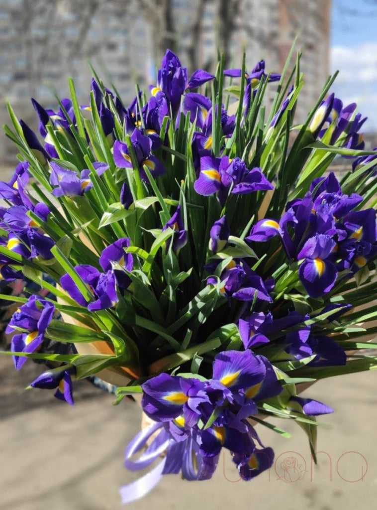 Passionate Irises | Ukraine Gift Delivery.