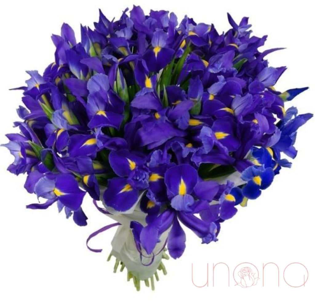 Passionate Irises | Ukraine Gift Delivery.