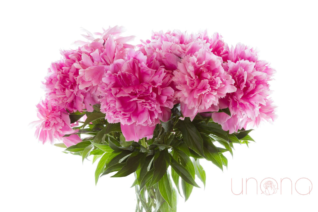 Peony Prince Arrangement By Holidays