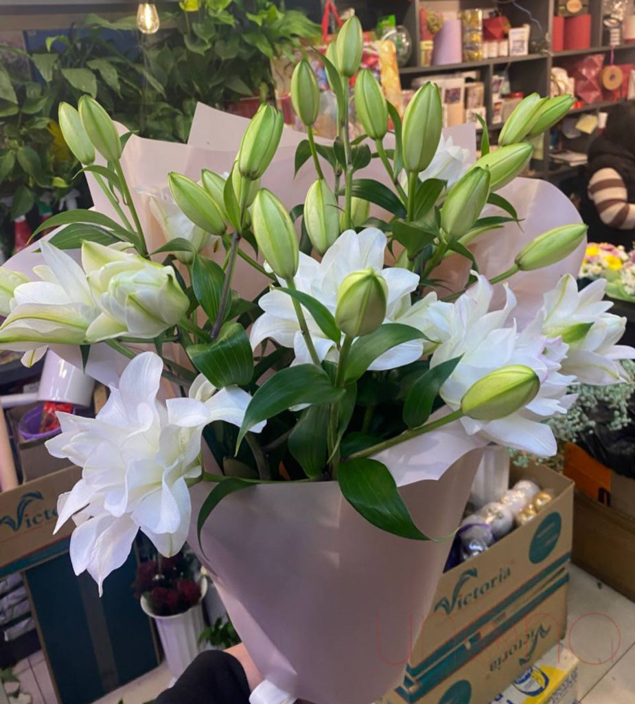 Pretty White Lilies Flowers