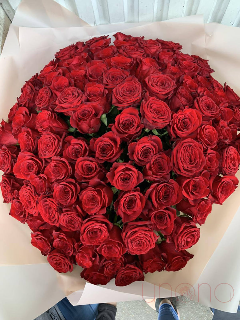 Royal Roses Bouquet | Ukraine Gift Delivery.