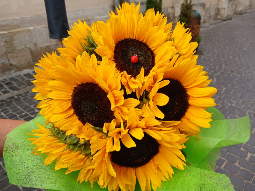 Sunflowers Bouquet By Holidays